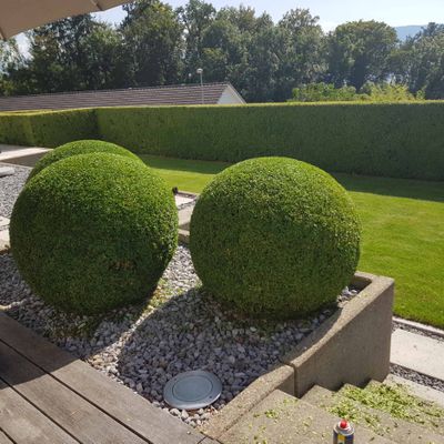 Gartenunterhalt und Gartenpflege - Riquelme Gartenbau - Meilen ZH