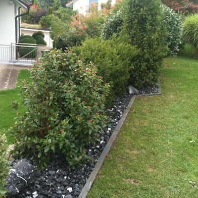 Gartenunterhalt Hecke - Riquelme Gartenbau - Meilen ZH