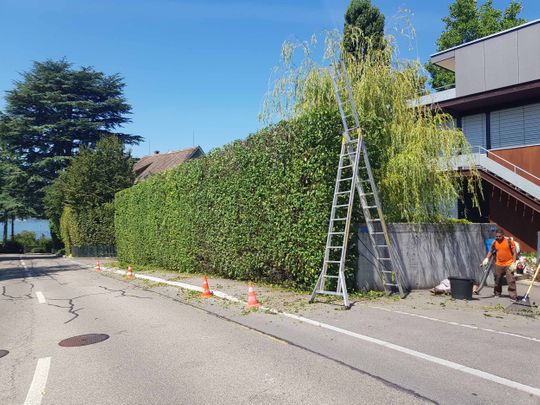 Gartenunterhalt und Gartenpflege - Riquelme Gartenbau - Meilen ZH