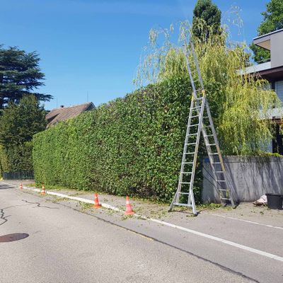 Gartenunterhalt und Gartenpflege - Riquelme Gartenbau - Meilen ZH